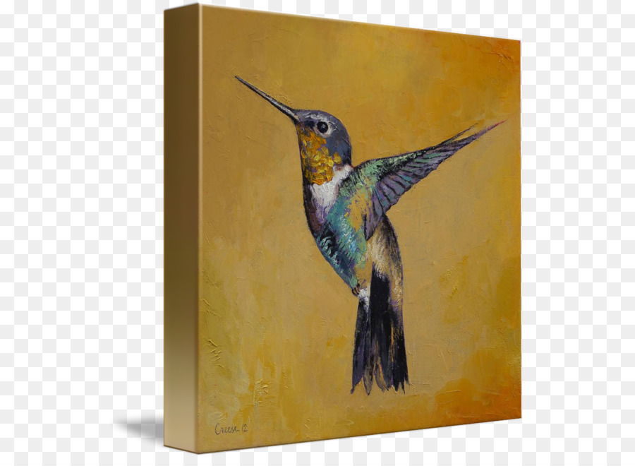 Hummingbird，Lukisan Cat Air PNG