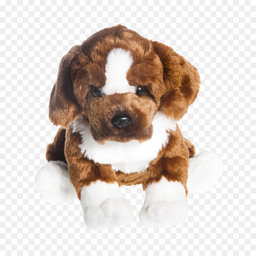 Petinju，St Bernard PNG