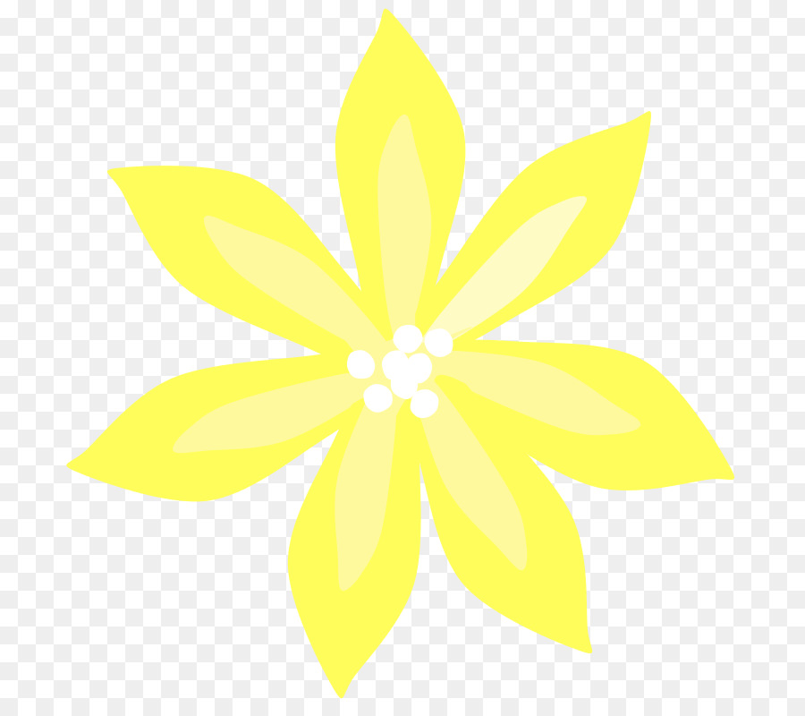 Lily Paskah，Bunga PNG