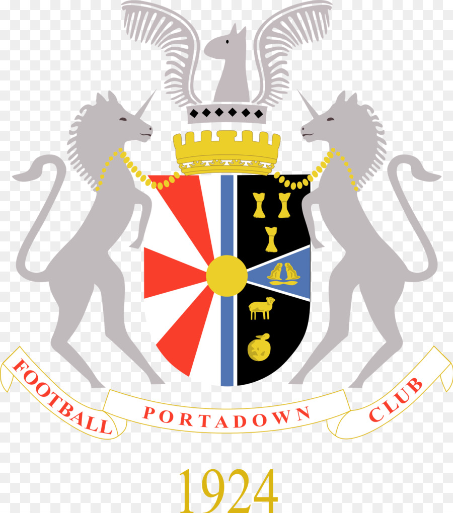 Portadown Fc，Piala Irlandia 201516 PNG