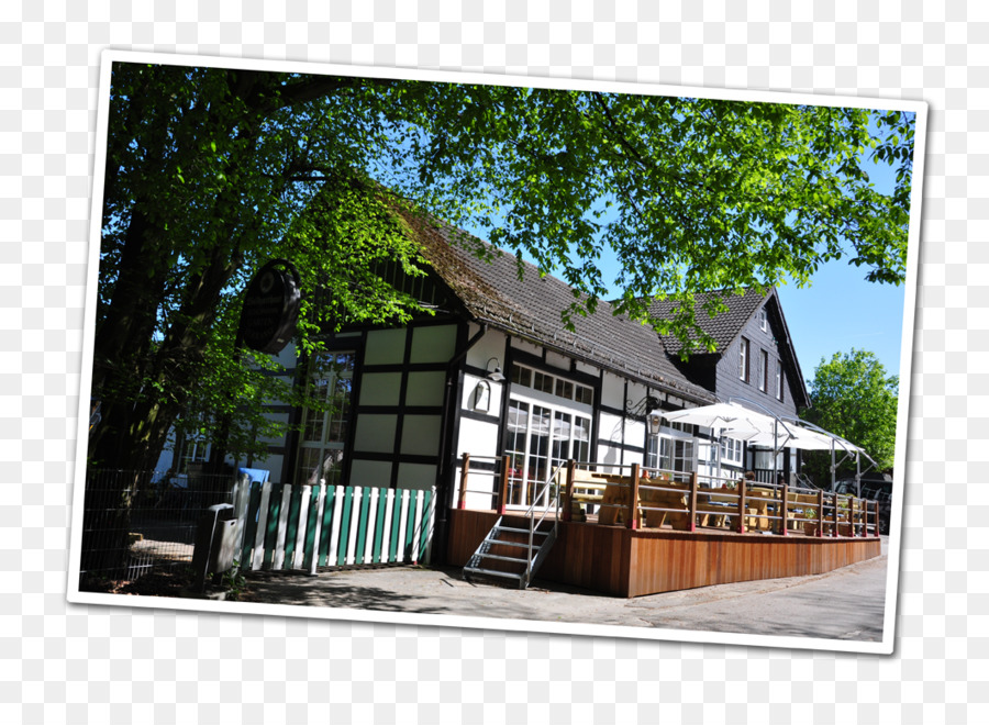 Forest Inn Schurmann，Desain Web PNG