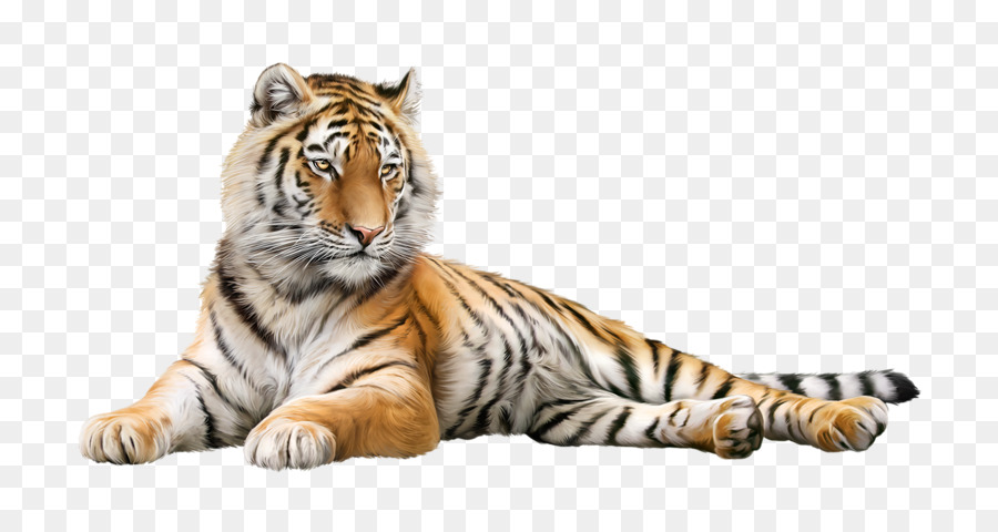 Harimau Putih，Harimau PNG