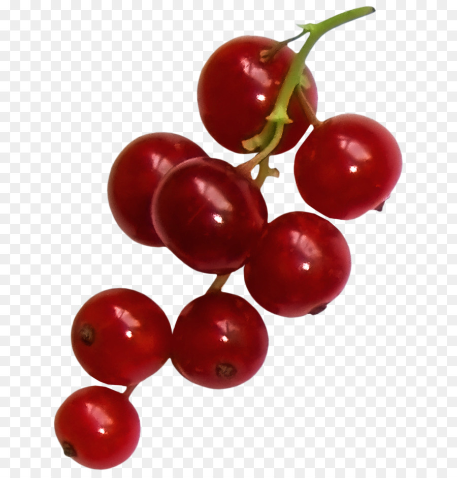 Berry Merah，Gugus PNG