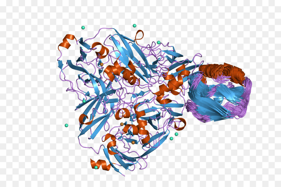 Struktur Protein，Molekul PNG