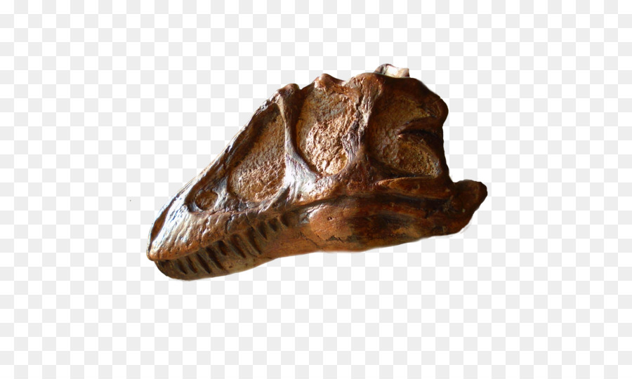 Prasejarah，Tyrannosaurus PNG