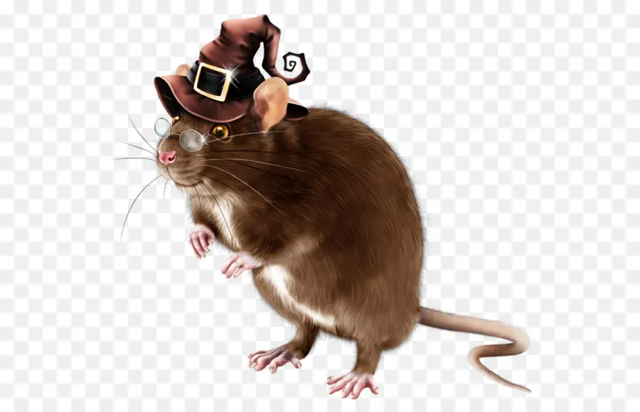 Mouse，Topi PNG