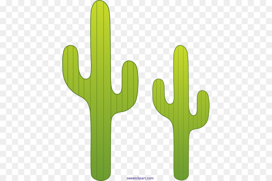 Cactaceae，Saguaro PNG