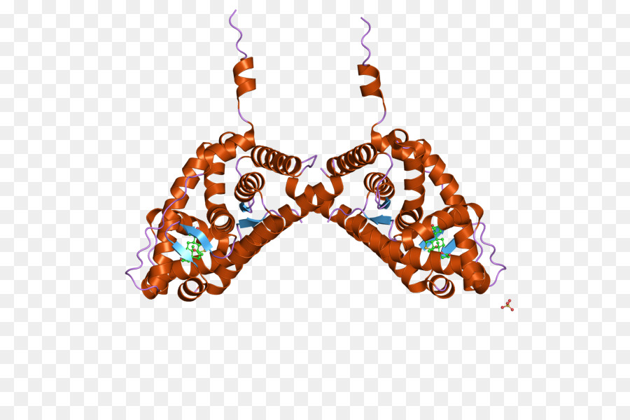 Reseptor Mineralokortikoid，Reseptor Glukokortikoid PNG