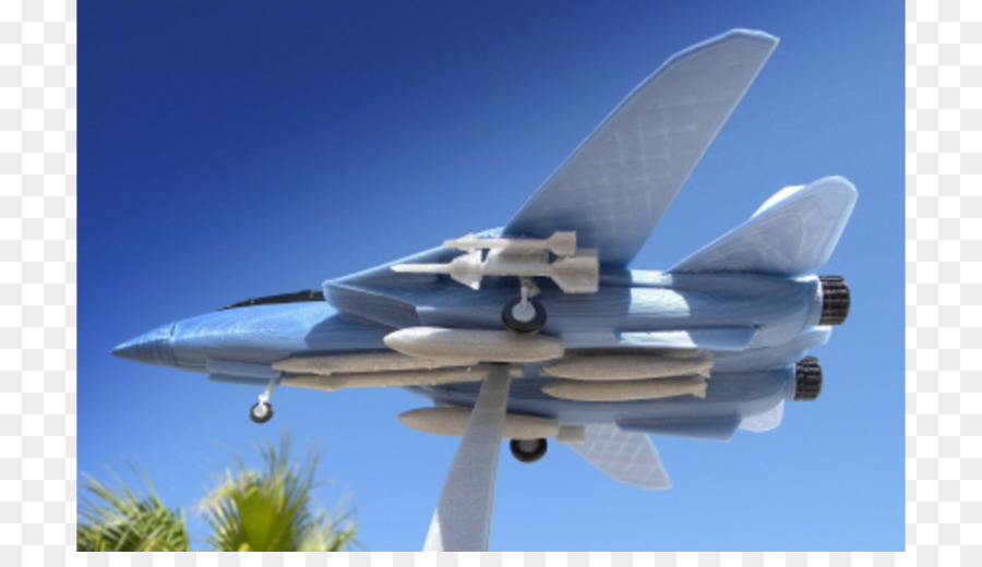 Grumman F14 Tomcat，Pesawat Tempur PNG