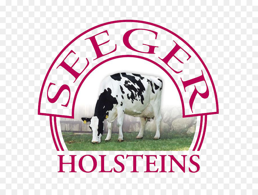 Halaman Seeger，Holstein Friesian Ternak PNG
