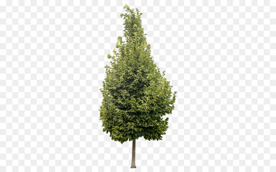 Pohon Natal Buatan，Prelit Pohon PNG