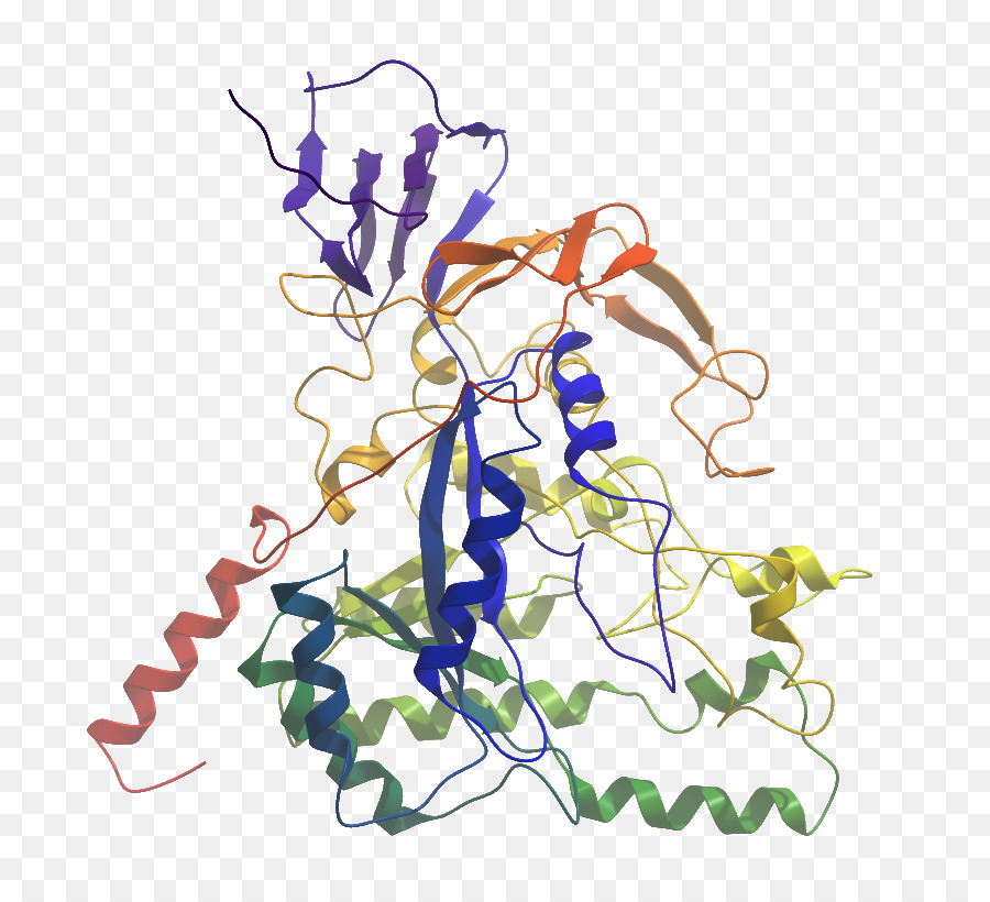 Struktur Protein，Molekul PNG