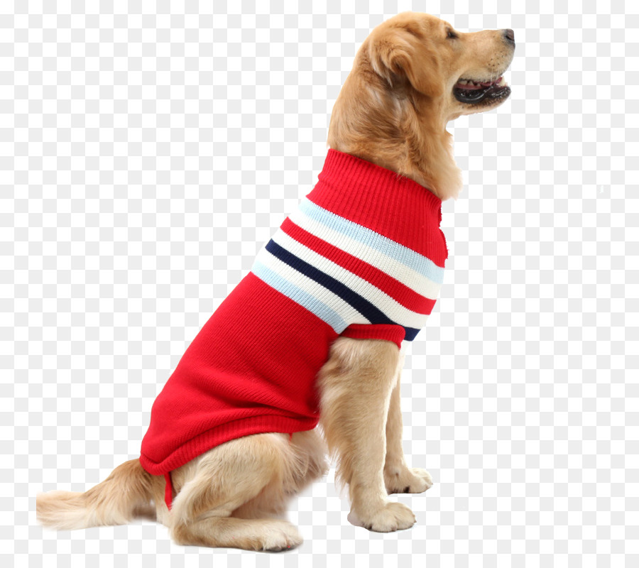 Anjing Dalam Sweater，Peliharaan PNG