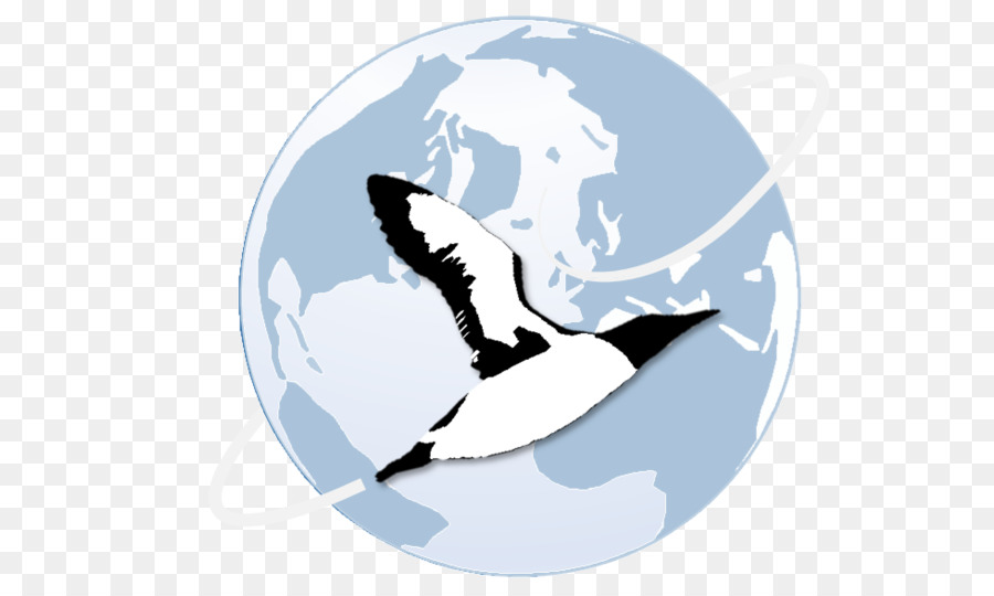 Mamalia Laut，Burung Laut PNG