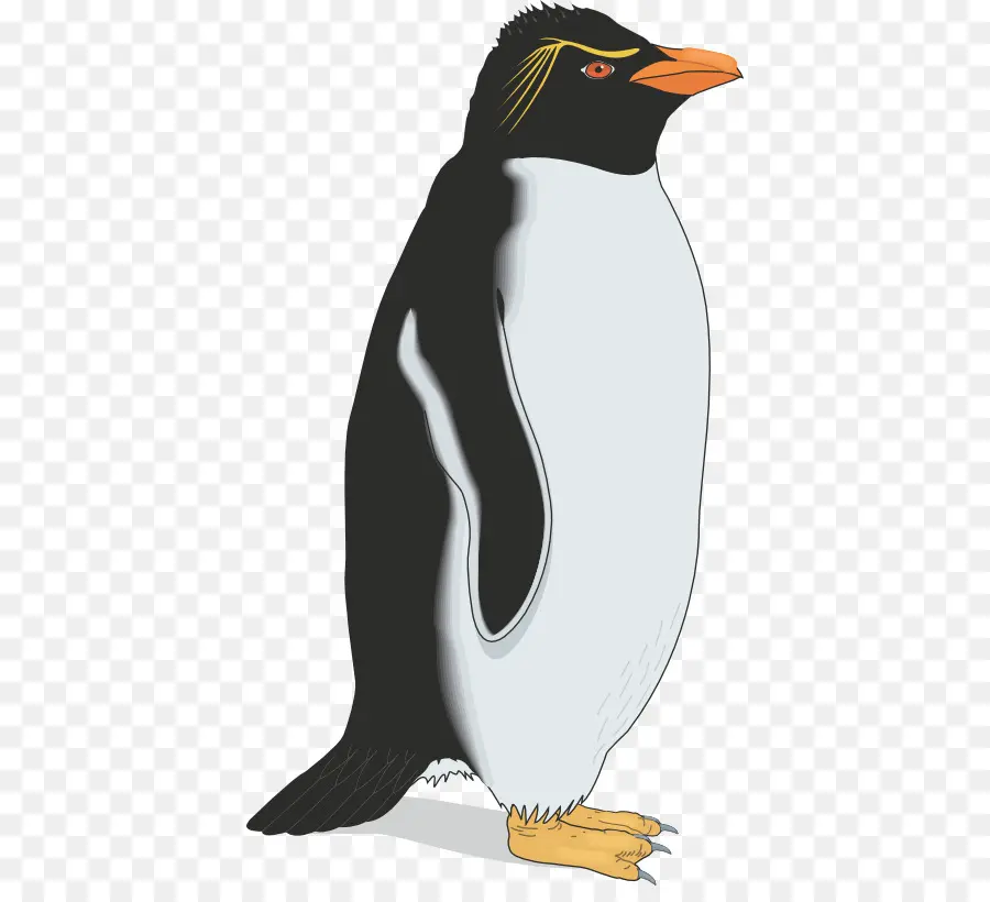 Penguin，Gentoo Penguin PNG