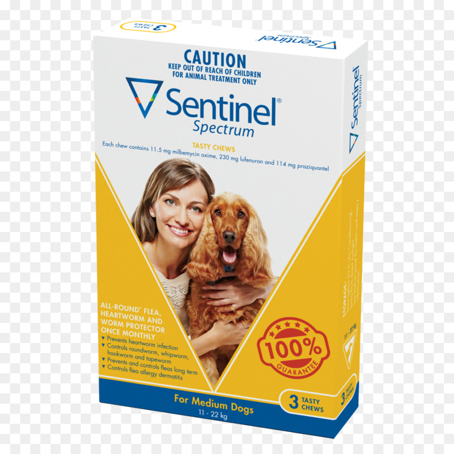 Anjing，Heartworm PNG