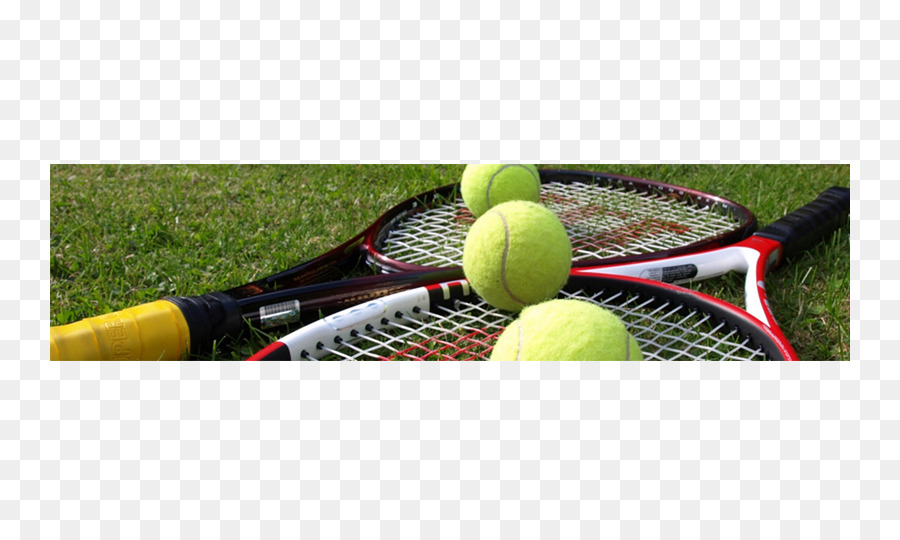 Tenis，Kejuaraan Wimbledon PNG