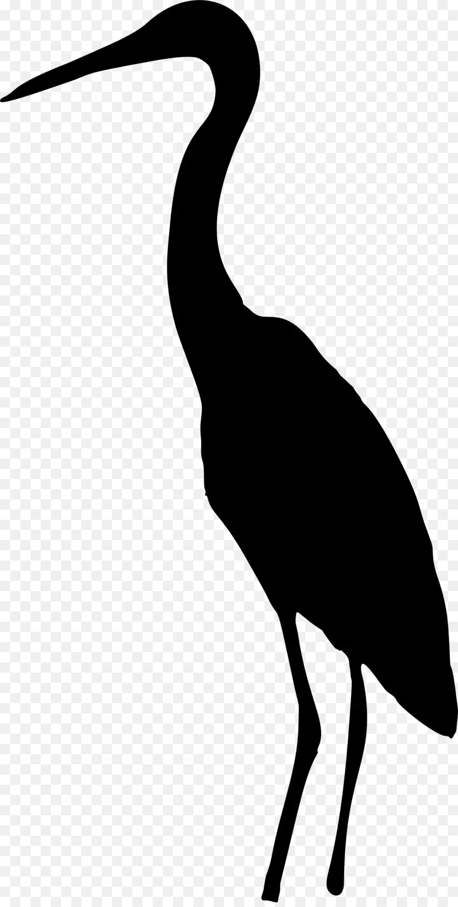 Kuntul，Burung PNG