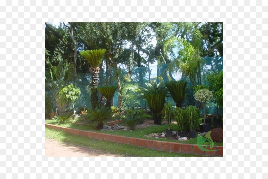 Taman Majorelle，Kebun Raya PNG