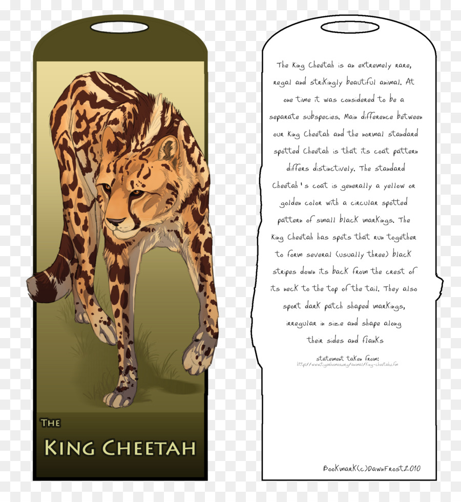 Harimau，Sepatu Cheetah PNG