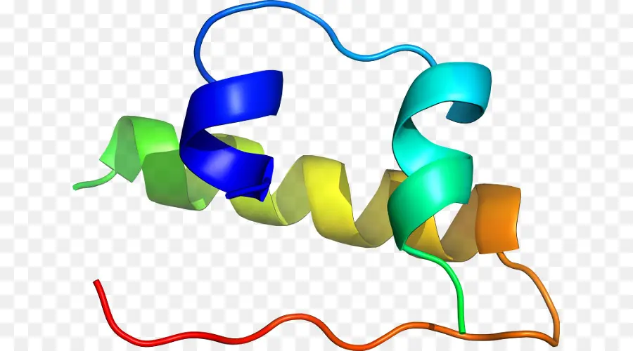 Struktur Protein Berwarna Warni，Biologi PNG