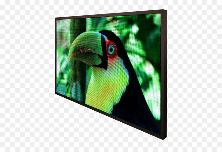 Tampilan Perangkat，Macaw PNG