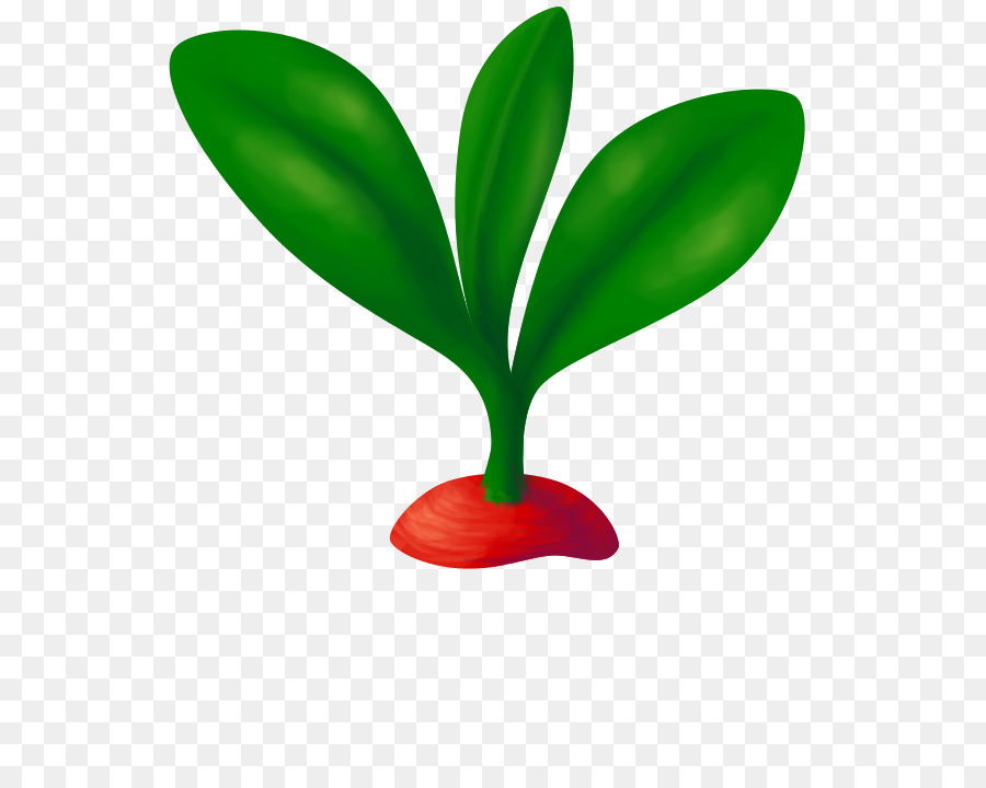 Daun，Pot Bunga PNG