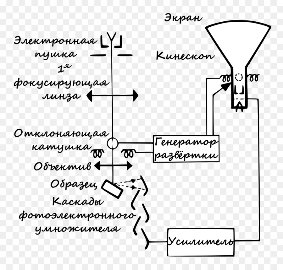 Mikroskop Elektron，Pemindaian Mikroskop Elektron PNG