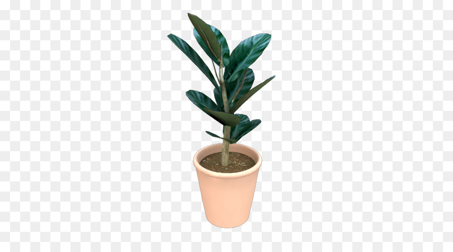 Houseplant，Pot Bunga PNG