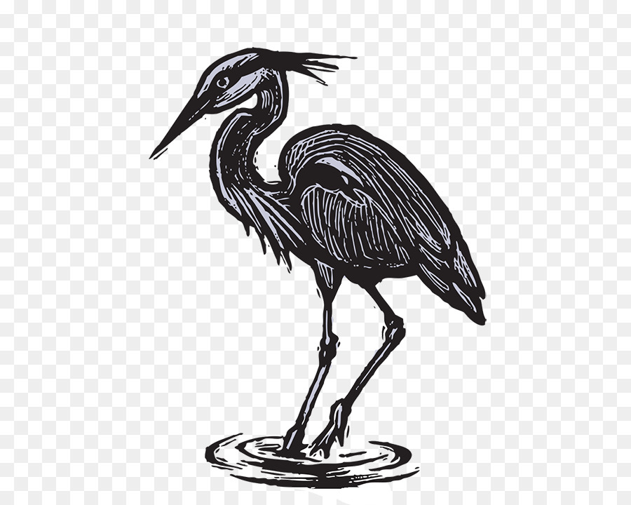 Crane，Kuntul PNG