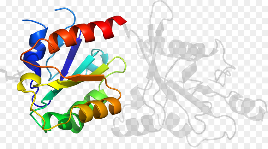 Heliks Protein，Molekul PNG