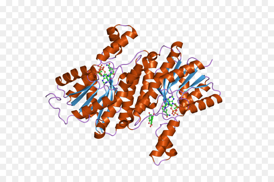 Makanan，Teks PNG