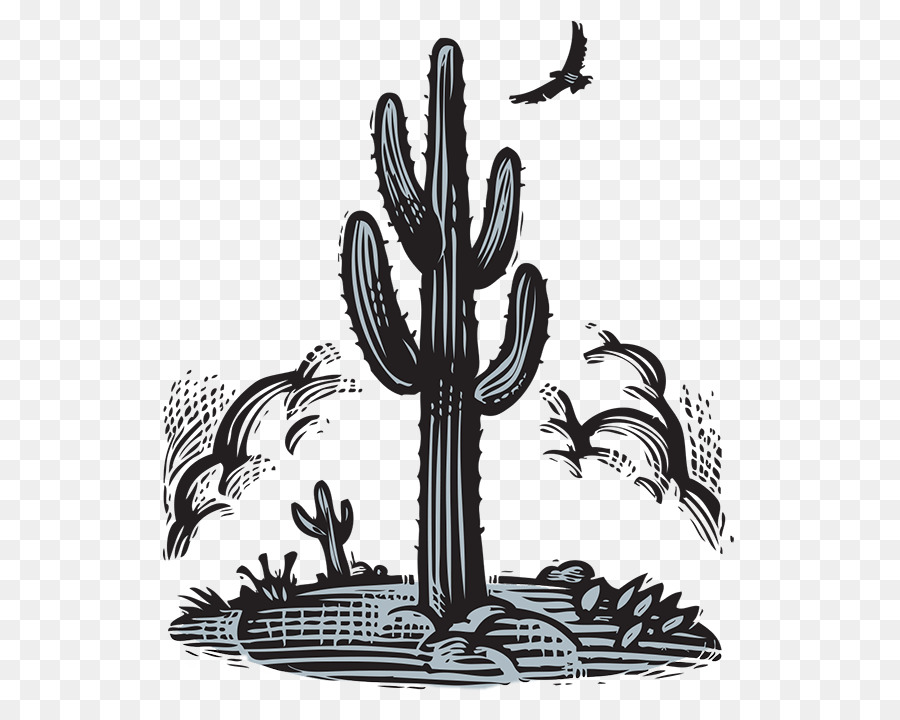 Gambar，Cactaceae PNG