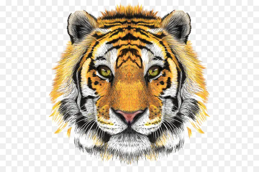 Harimau，Liar PNG