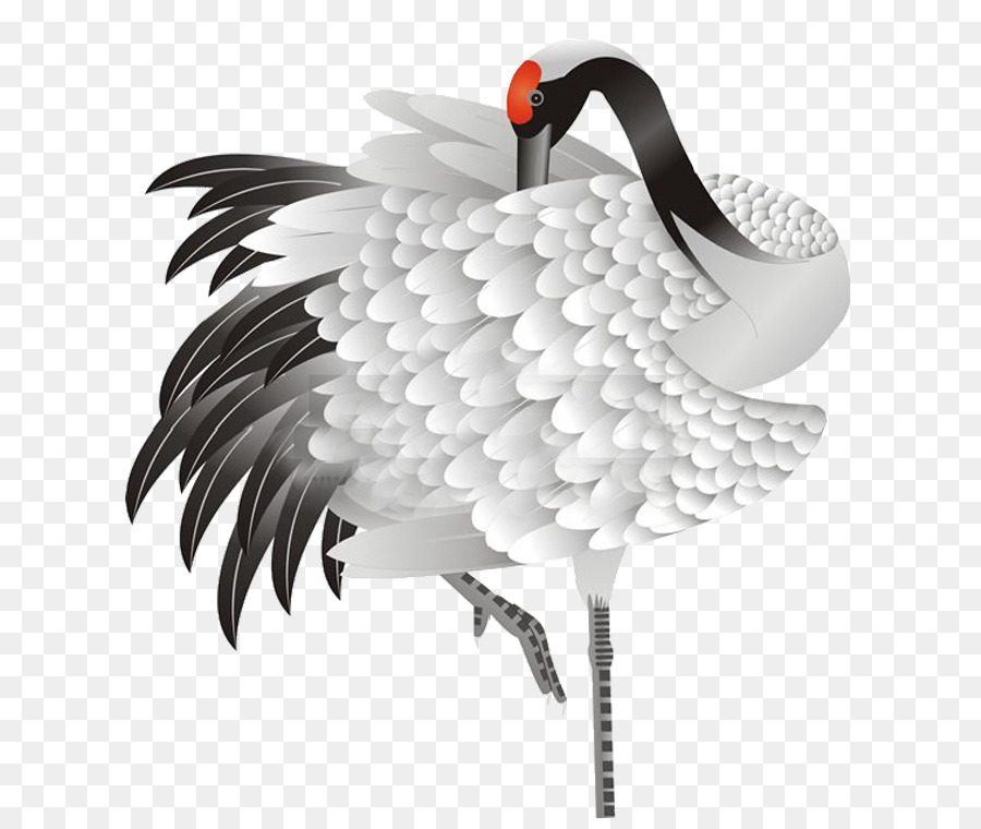 Redcrowned Crane，Burung PNG