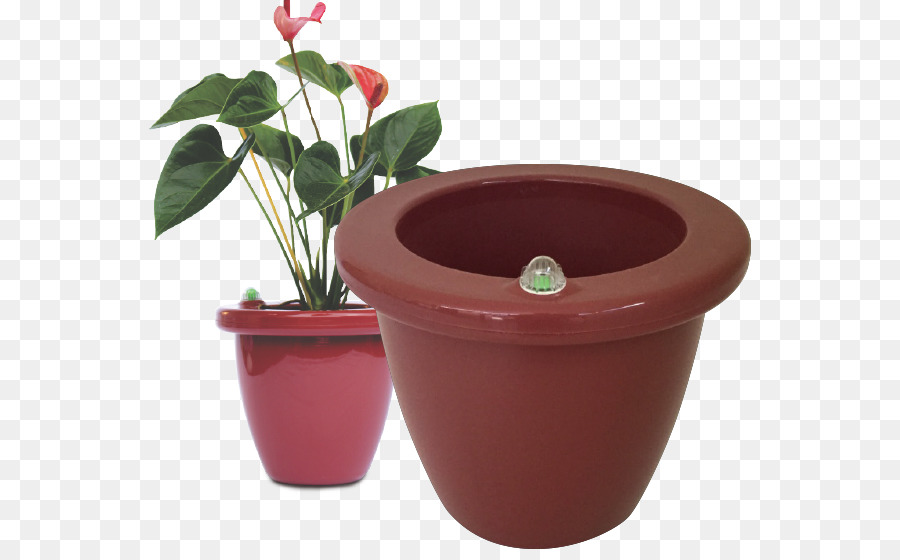 Pot Bunga，Houseplant PNG