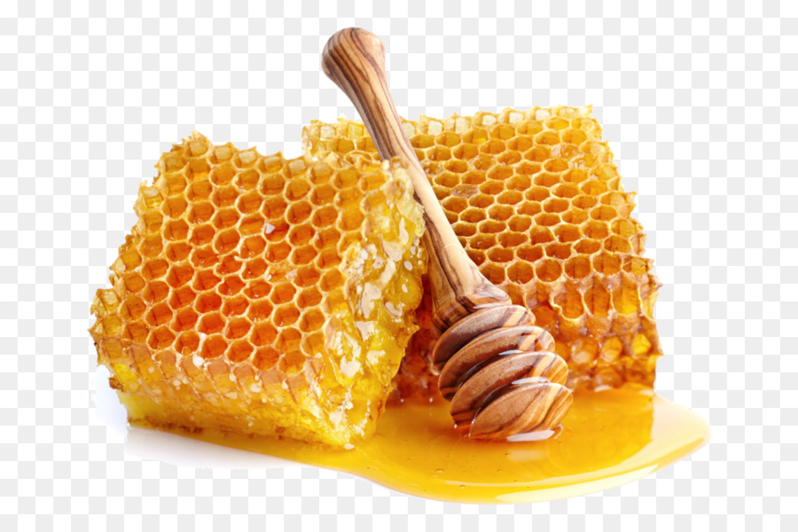  Madu  Sarang Lebah Lebah gambar  png
