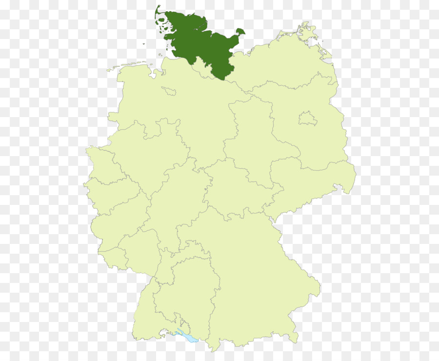 Schleswig，Atas Liga Schleswig Holstein PNG