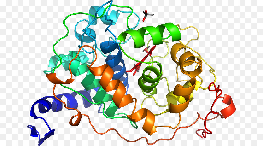 Struktur Protein Berwarna Warni，Protein PNG