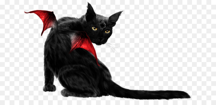 Kucing Hitam Dengan Sayap，Fantasi PNG