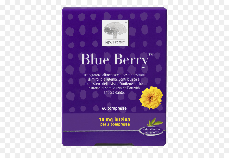 Blueberry，Komputer Tablet PNG