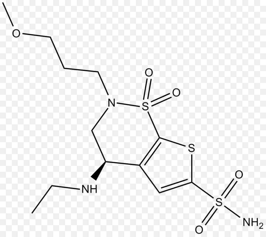 Karbonat Anhidrase，Enzim Inhibitor PNG