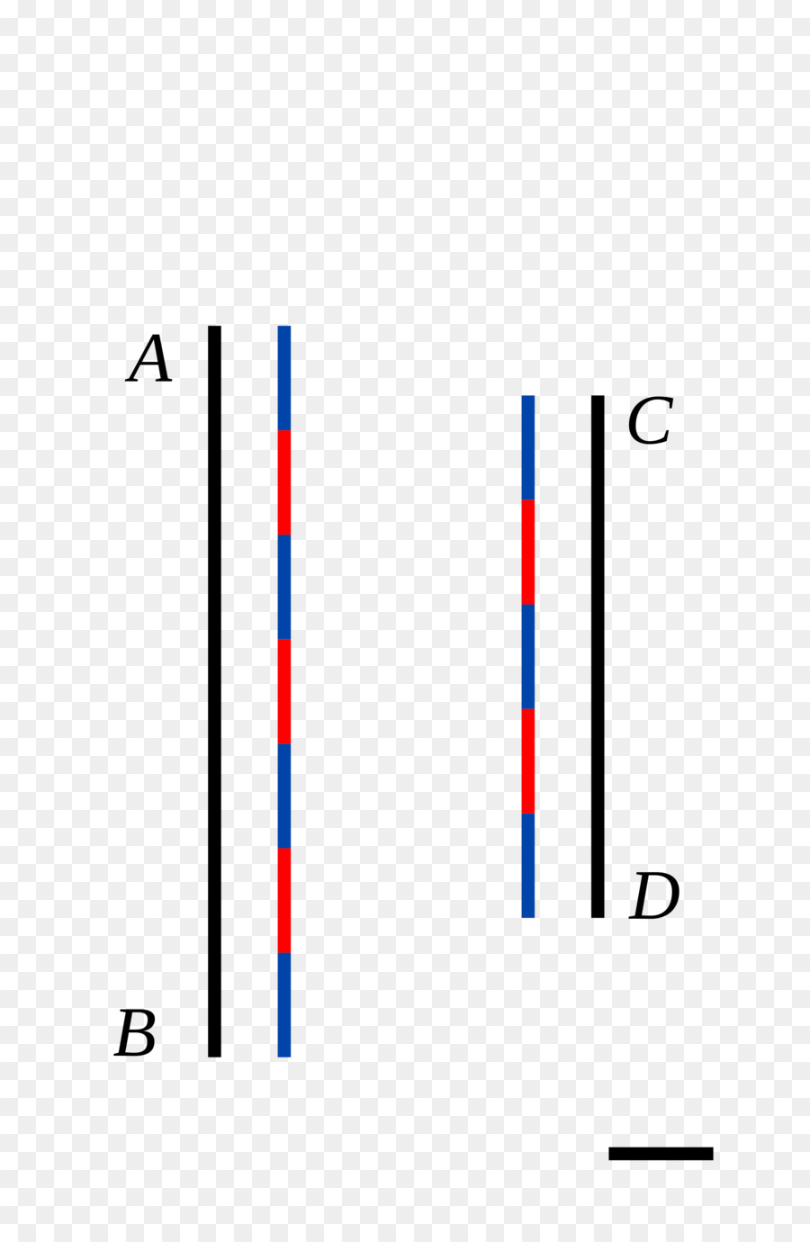 Segmen Garis，Commensurability PNG