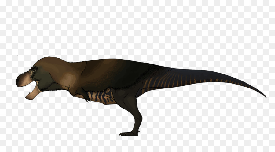 Tyrannosaurus，Fauna PNG