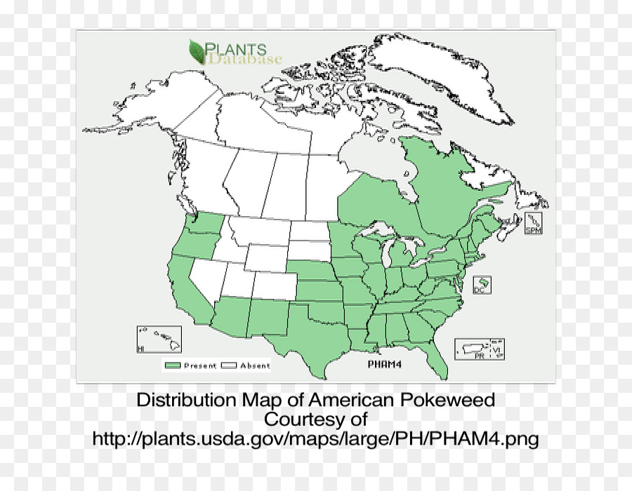 Amerika Serikat，Taat Pabrik PNG