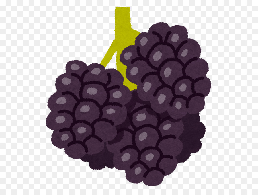 Anggur，Boysenberry PNG