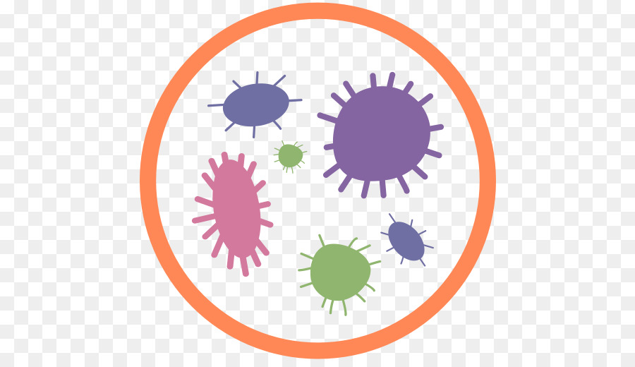 Bakteri Mikroorganisme  Virus gambar  png