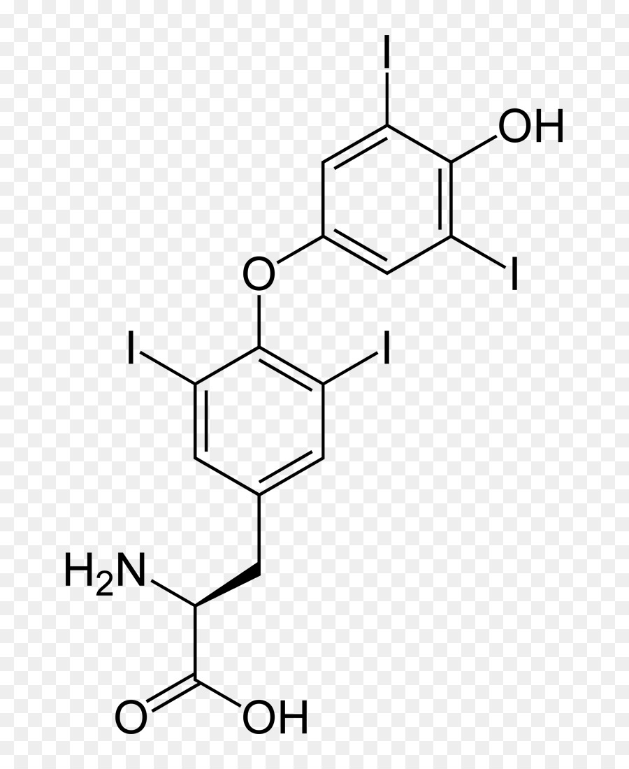 Levothyroxine，Tiroksin PNG