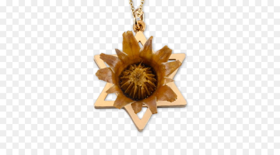 Liontin，Kalung Salib PNG