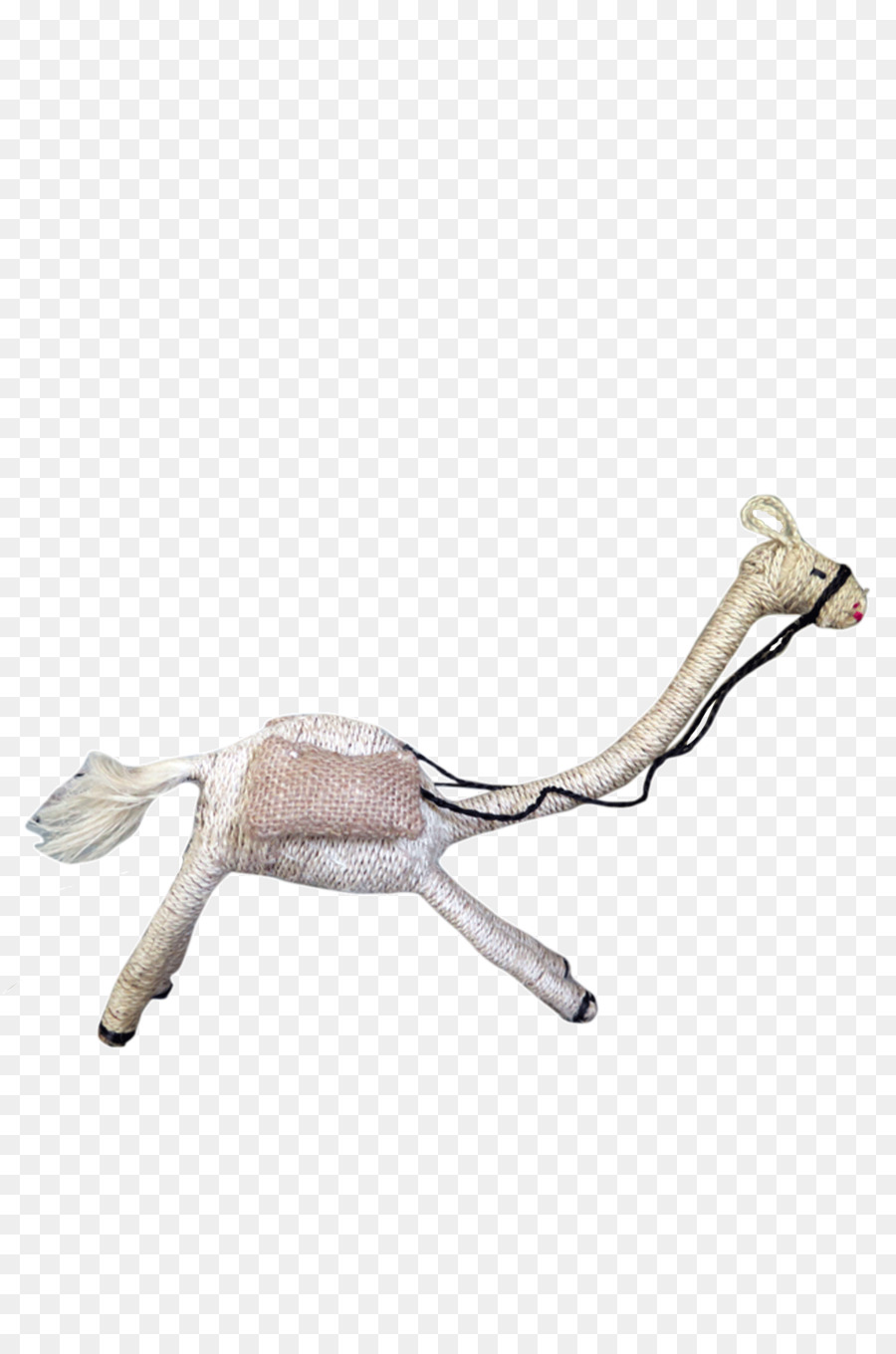 Fauna，Hewan PNG